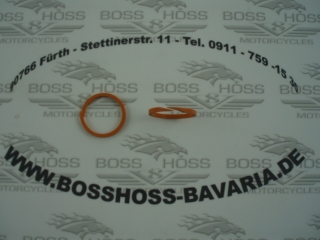 Dichtring Getriebe Ausgangswelle  Boss Hoss Nesco